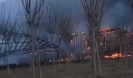 济南大棚爆料事件最新,揭开农业领域黑幕的真相揭露